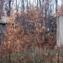 금락1리 이미지