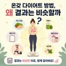 다이어트 방법은 많은데 왜 결과는 비슷한가 하는 생각