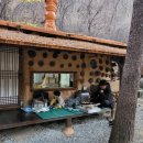 달둔소낭펜션 이미지