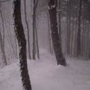 소똥령이야기 이미지