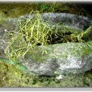 오수초등학교 이미지