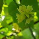 힘찬농장 이미지