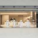 완도18호 이미지