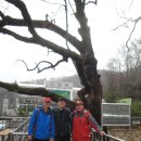 산토끼옹달샘 이미지