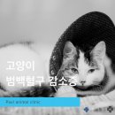 범 동물병원 이미지