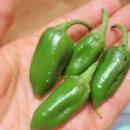 기봉농장 이미지