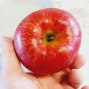 혈천농원 이미지