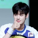 브라운 돈가스 이미지