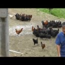 김영일 농장 이미지