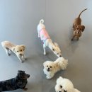 은계유치원
