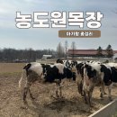용인 농도원목장 찐후기 I 예약꿀팁방법부터 실제로 다녀온 후기, 준비물까지 아기랑가볼만한곳