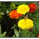 한산파출소 이미지