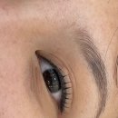 사파동101 이미지