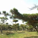 우송농장 이미지