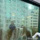꽃집간판｜플로리스트학원간판｜학원간판｜채널간판...광주간판｜실사출력｜안개시트｜시트커팅｜시공후기