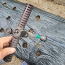 종대농장 이미지