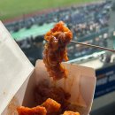 생활야구경기장 | 야구 직관 잠실야구장 맛집 닭강정 신철판 야채곱창 후기