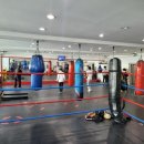 용인대 GX 복싱체육관 이미지