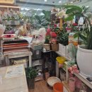 더본플라워
