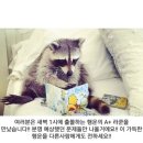소안초등학교2 네이버블로그