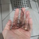 지니핏 피티짐 | 리앤핏 쉐이크 이너뷰티까지 챙긴 내돈내산 후기 !