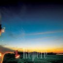 바다 속 이야기 이미지