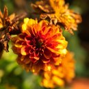 남원장례예식장 이미지