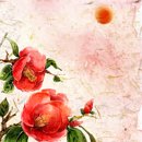 (주)조아라 이미지