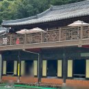 장흥수영장 | 고기 구워먹는 수영장, 장흥 한옥수영장 후기 | 주차·요금·예약 총정리