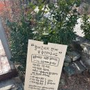 숲 휴게소 | [속초 여행] 속초 브런치 북카페, 쉼이 필요할 때 ‘숲 휴게소’