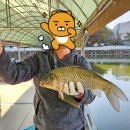 동막낚시터 이미지