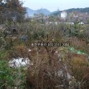 창원명지여자고등학교 이미지