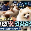 금천24시 K동물의료센터 | 쿠키 7살 신장특화 건강검진 이야기