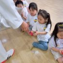 장무1태권도 이미지