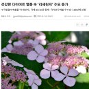 (주)뷰티풀밸런스 | 뷰티풀컷 다이어트