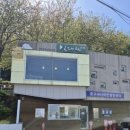 대청공원 원로의집 | 26.04.16 부산민주공원 겹벚꽃현황 밀다원카페 영주동모노레일