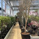 대림가든 이미지