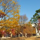 대전선사박물관 이미지