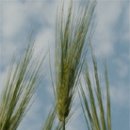 (주)클렌시아 이미지