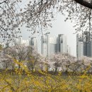 덕풍천서로 네이버블로그