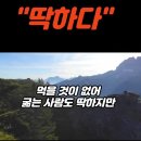 딱하다 이미지