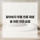 연골 이미지