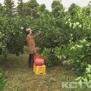 이수축산농장 이미지