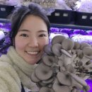 두리농장 이미지