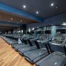 자마이카 피트니스 & 골프 아카데미 이미지