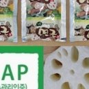 웰빙나라(과일이랑야채랑) 이미지