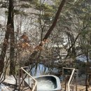 CU제천청전공원점 | [충북/제천] 생일 맞이 힐링 여행 리솜 포레스트 1박 2일 코스