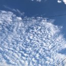 별무인스파텔 이미지