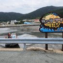 생일면-1 이미지