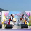 2015년4월11일 보령댐 (주산벚꽃축제) 이미지